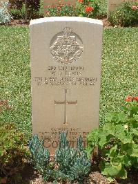 Medjez-El-Bab War Cemetery - Lewis, William Douglas